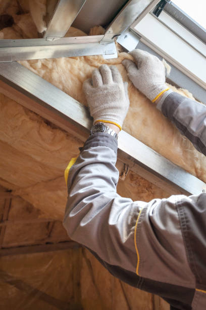 Best Specialized Insulation Services in Chigan Center, MI
