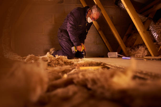 Best Eco-Friendly Insulation in Chigan Center, MI